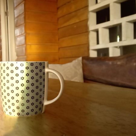 Apartament Casa Lumiere Bocas del Toro Zewnętrze zdjęcie