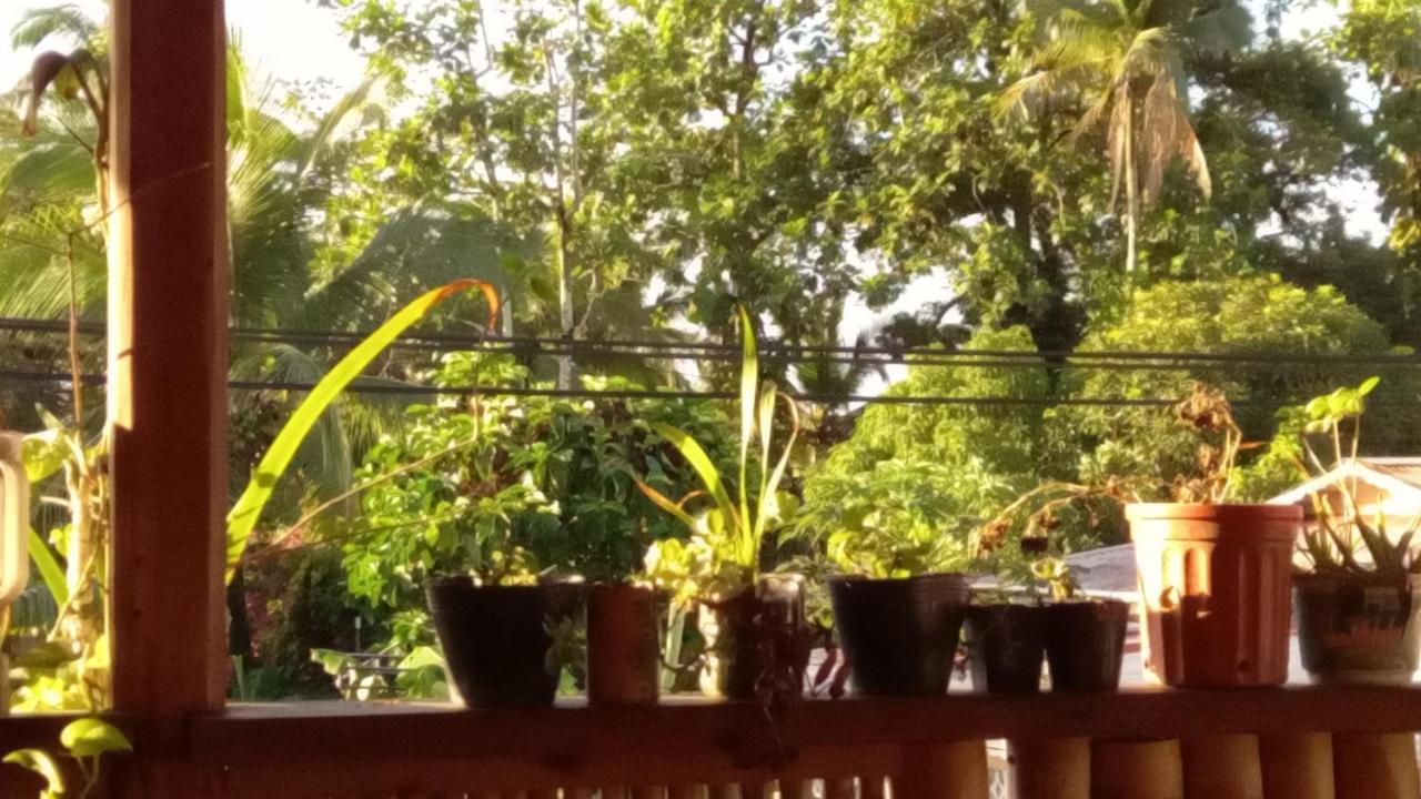 Apartament Casa Lumiere Bocas del Toro Zewnętrze zdjęcie
