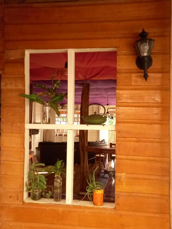 Apartament Casa Lumiere Bocas del Toro Zewnętrze zdjęcie